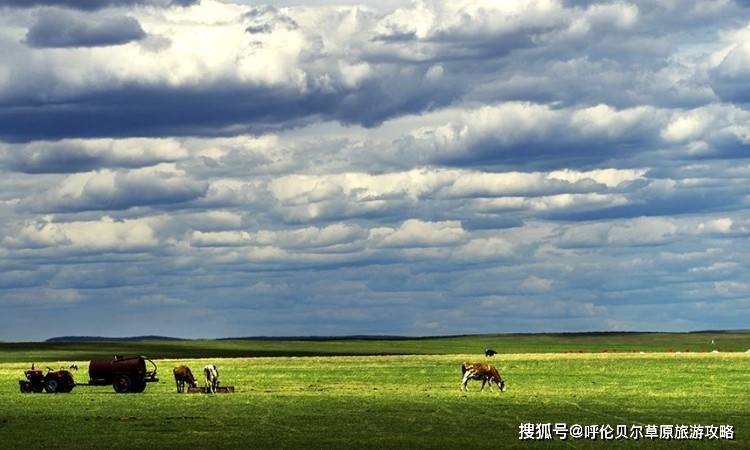 时候|2020八月份，去呼伦贝尔穿什么衣服比较好？