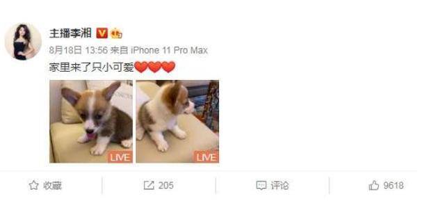 汪涵曾用一句话评价李湘老公王岳伦，非常中肯