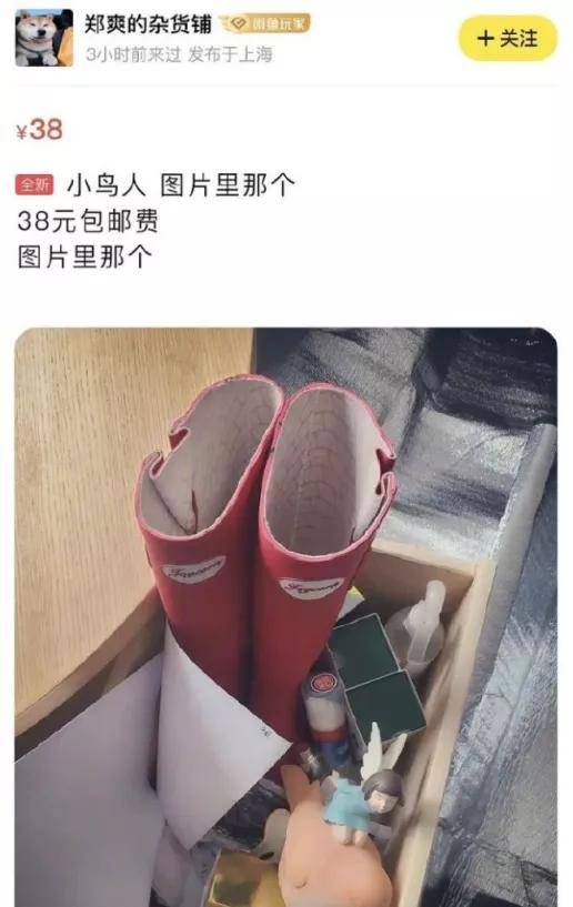 郑爽之迷惑行为大全｜无论男女，都该为自己的