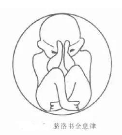 脐部,你只敢灸,不敢针?(内含脐针操作方法)