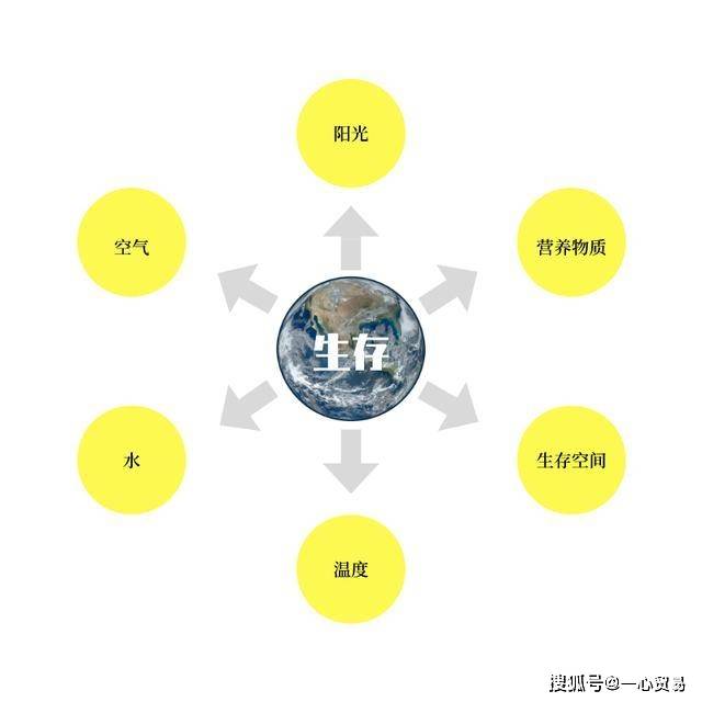 生存所需的六大要素之营养物质篇