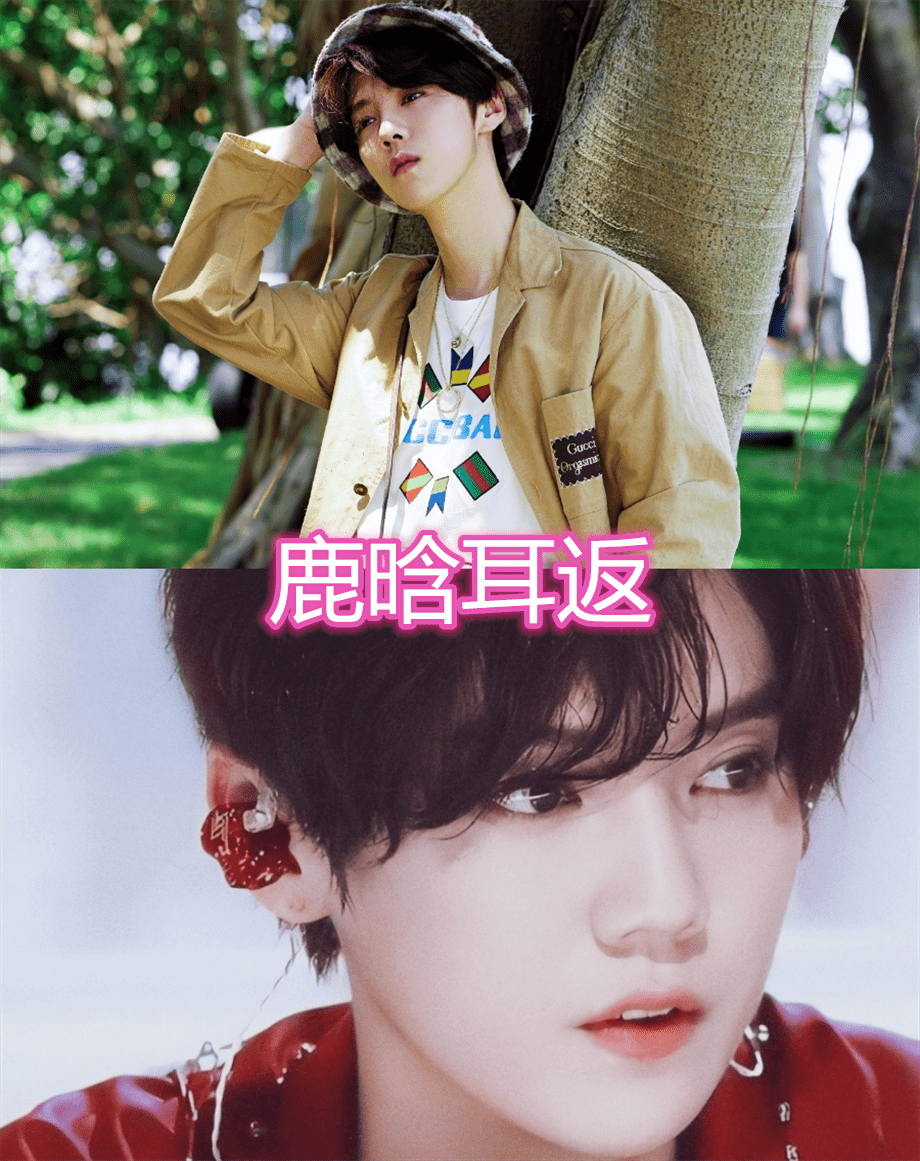明星的耳返什么样,华晨宇鹿晗的都有自己的logo,看到王源的:有含义?