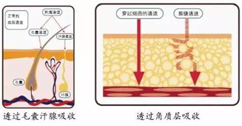镜子|以前拿央视镜头当镜子，现在十级滤镜都磨不平，刘亦菲鼻子到底咋了？