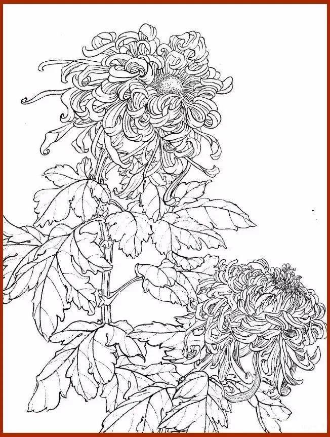 金秋画菊正笔奔谰栈ò酌柩安慰