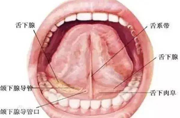 舌系带短就一定要手术且慢看过这篇文章再决定不迟