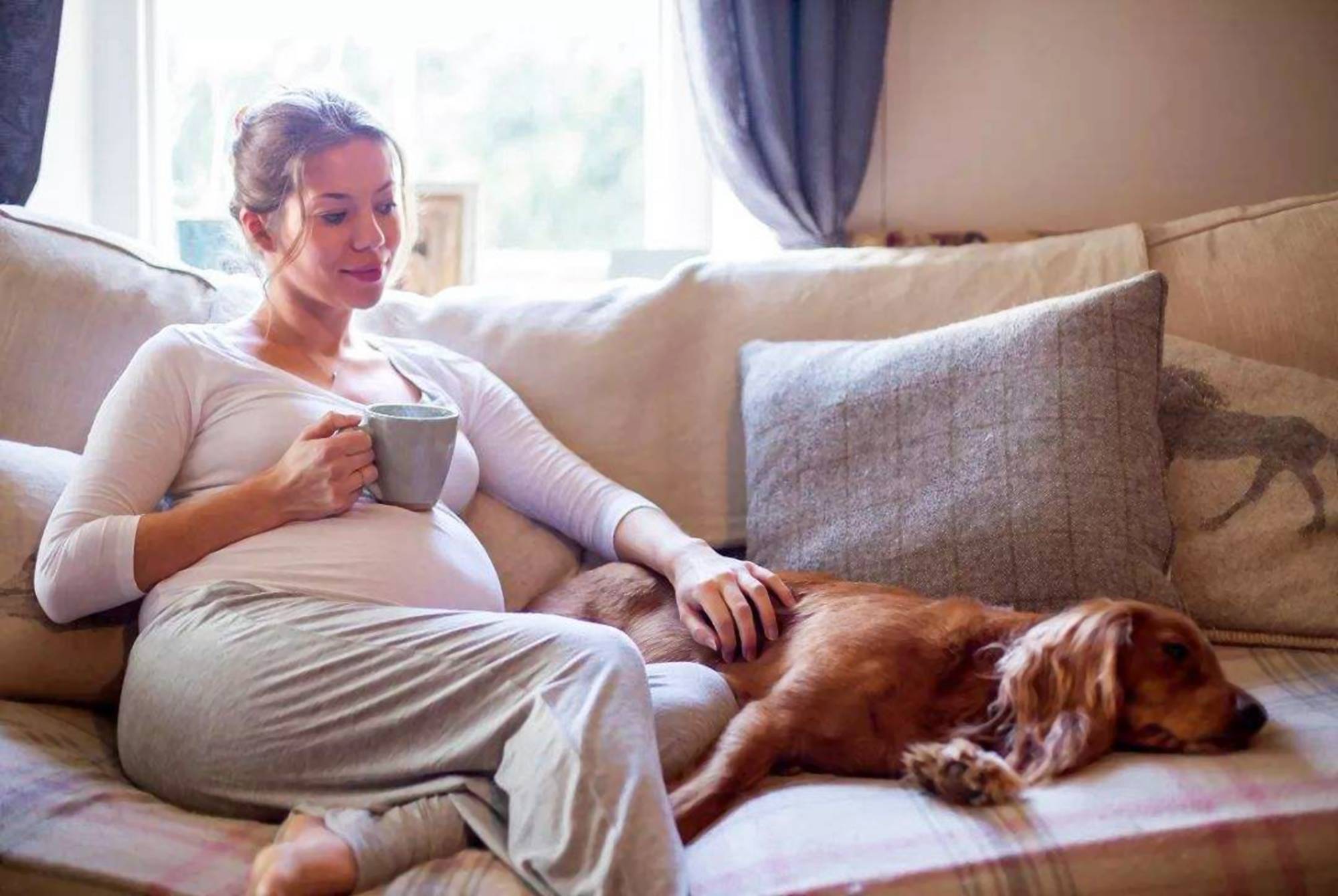 在哺乳期结束之后女性的胸体积会缩小,所以这个时候就需要及时更换更