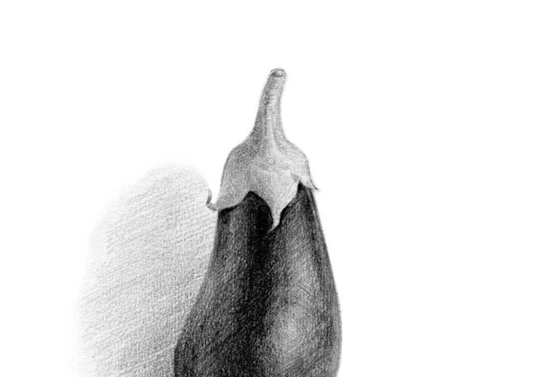 初学者素描画步骤图|如何在家自学铅笔画（附素描Pdf电子书教程下载）_