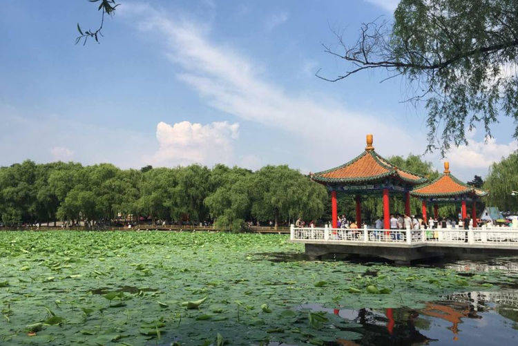 原创吉林一公园走红,被称长春"颐和园,却以人工湖的荷花媲美西湖