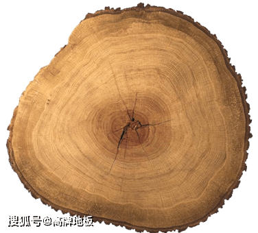 b9be15caa8a04d2689f252a6cf0b18f8.png