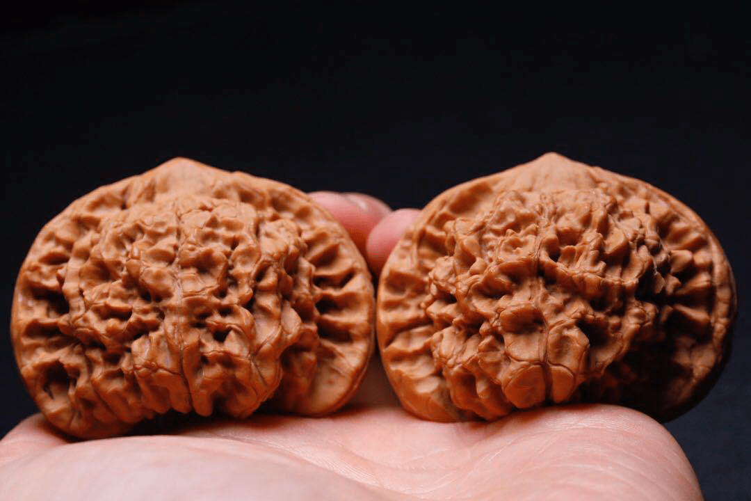 文玩核桃西北將軍膀34,36/37/40無修| 蝦皮購物