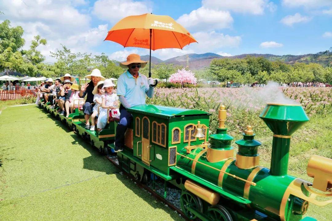 宫崎骏现实版|乘小火车穿越花田,天空之镜映衬童真梦,夏日戏水来盈香