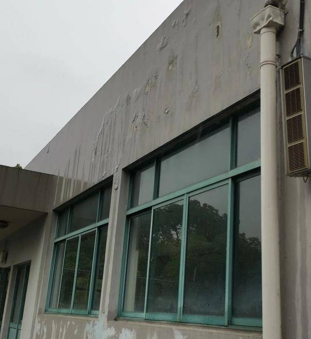 修缮|开学在即，上海这3所学校大改善！快来看看你家学校变了吗