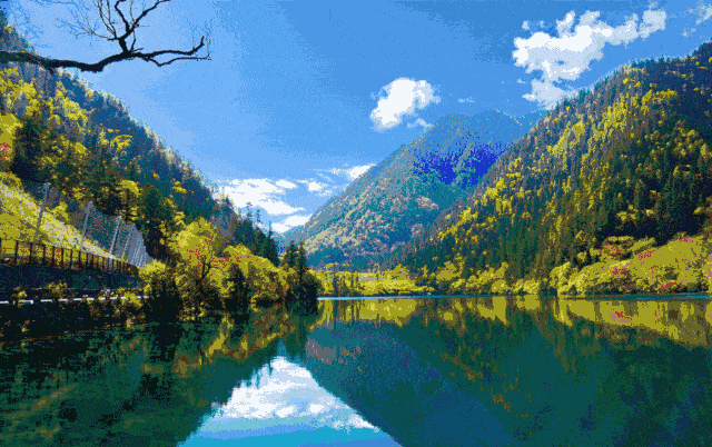 云端步道观鸟,品尝藏式牦牛特色火锅!_九寨沟