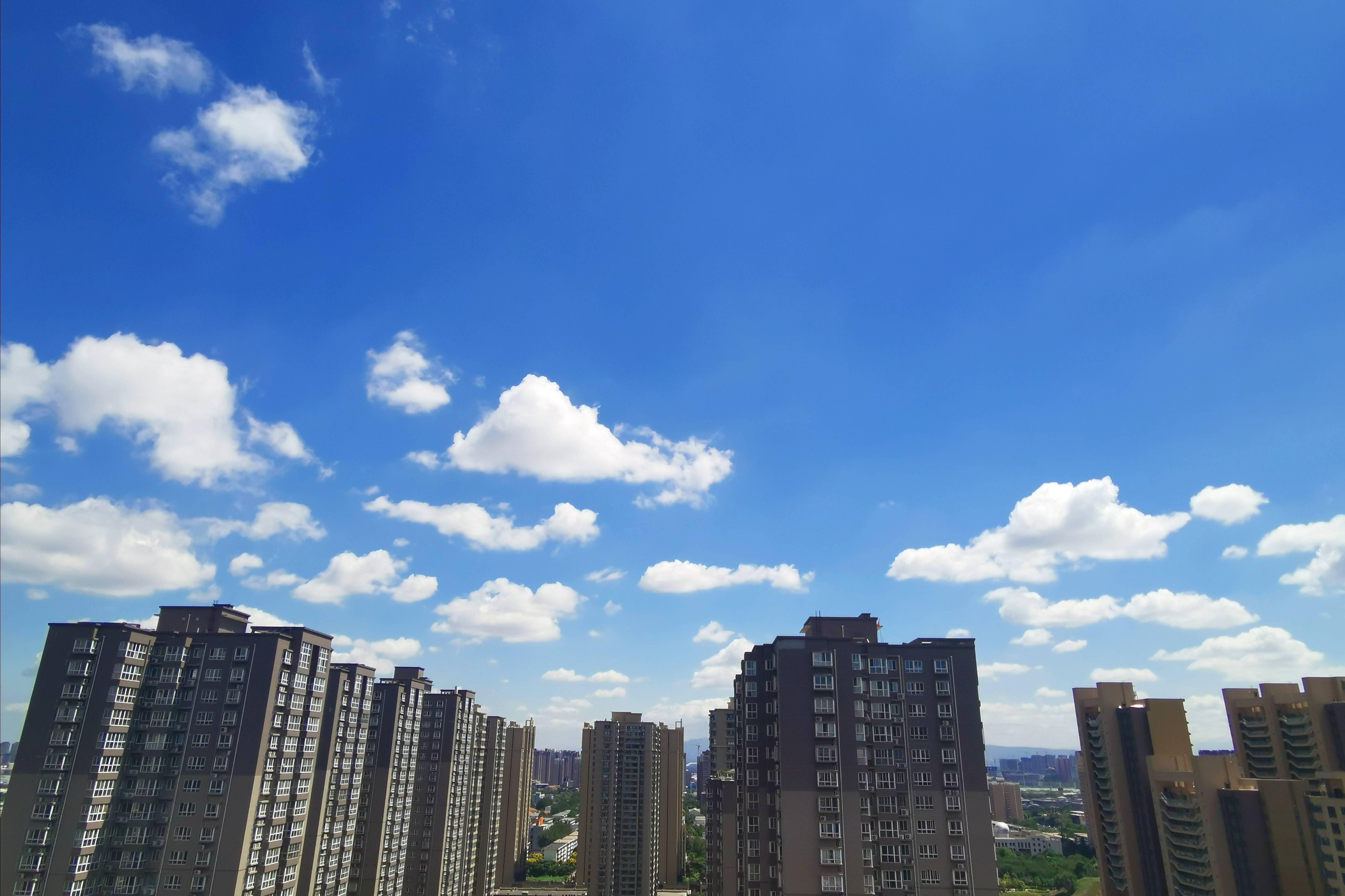 浐灞(|西安蓝里的浐灞，鹭鸶嬉戏，花草灿阳，留下湿地美幻时光