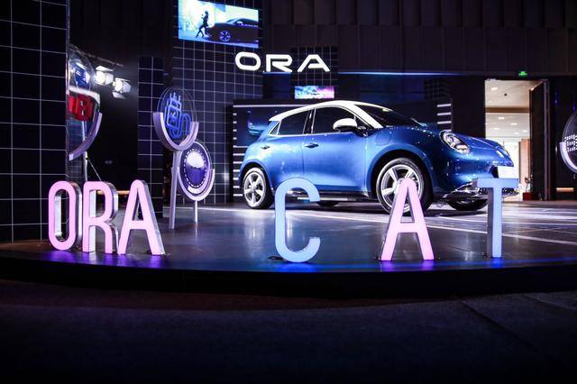 打法|复古+时尚的打法，欧拉好猫会火么？