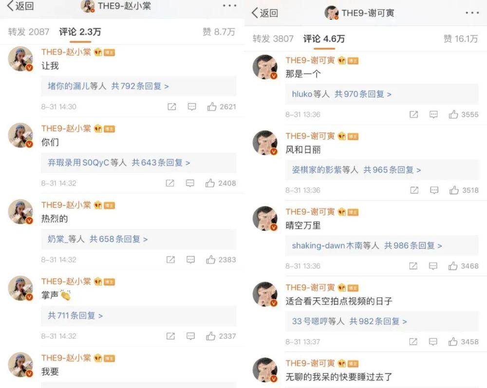 下场|原创明星亲自下场，粉丝集资百万，微博“搬家”到底是什么？