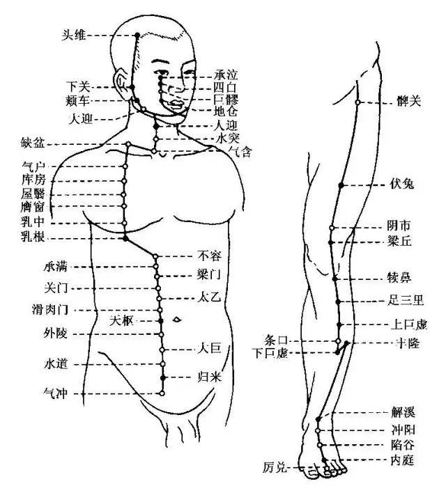 支撑生命的"能量线",这两条经络你必须知道!_脾胃