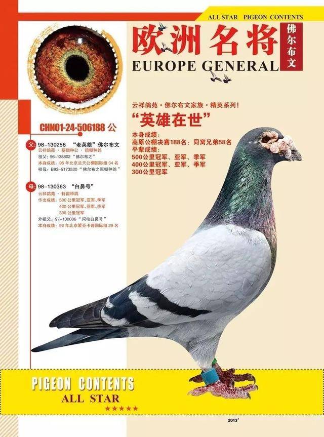 69df498420324d28b23e8b916a27e5ef.jpeg