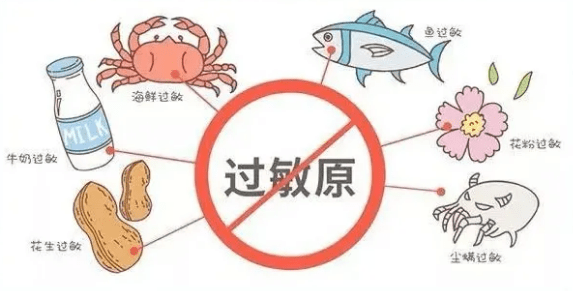 什么原因导致孩子过敏性鼻炎 d9db10825c3f41c8950cb4ac4d11414d.png