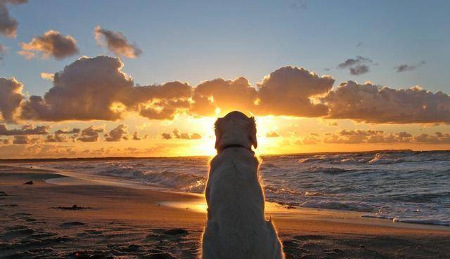 怎么才能让自己变得精致 f42b520b6c994625ae6018835c56b567.jpeg