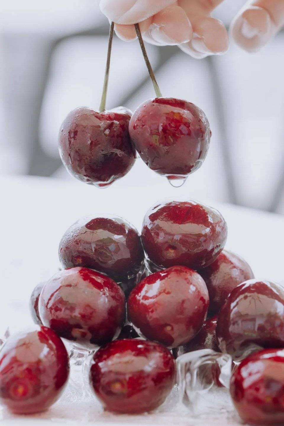 入口|什么明星开的店啊！刚开业竟然几万人都喝过？