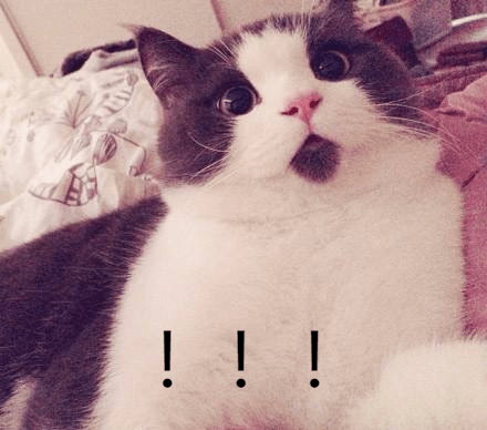 News|U. S.News排名不真实？《华盛顿月刊》美国大学排名来叫板！