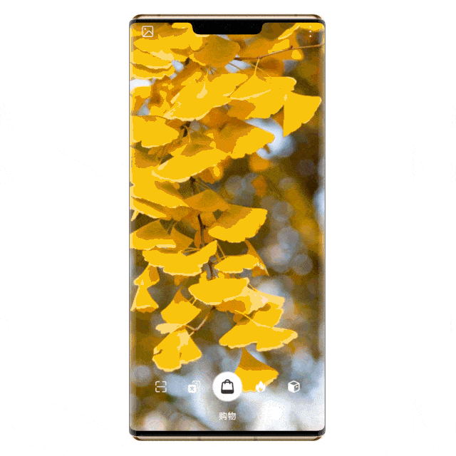 经验教程|假如大学时光可以重来，你会弥补哪些遗憾？