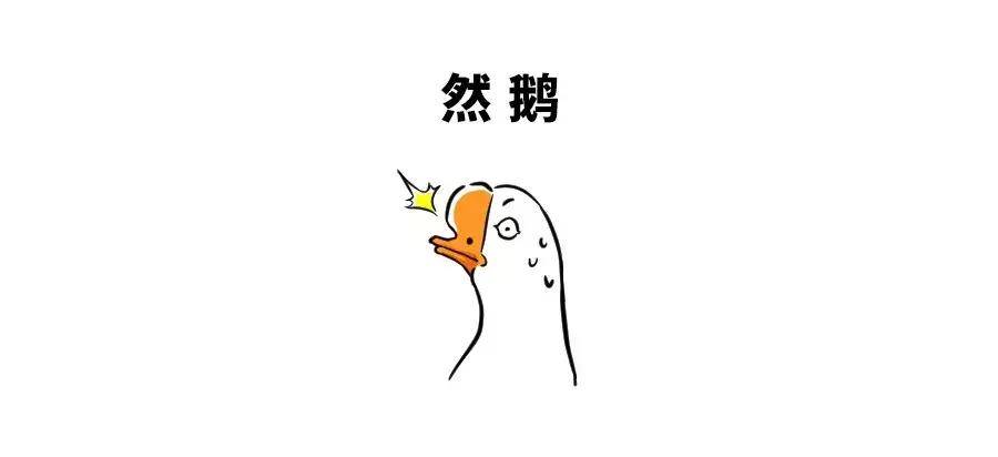 d0b5f8de8d8d41b58a93e46c24583e34.jpeg