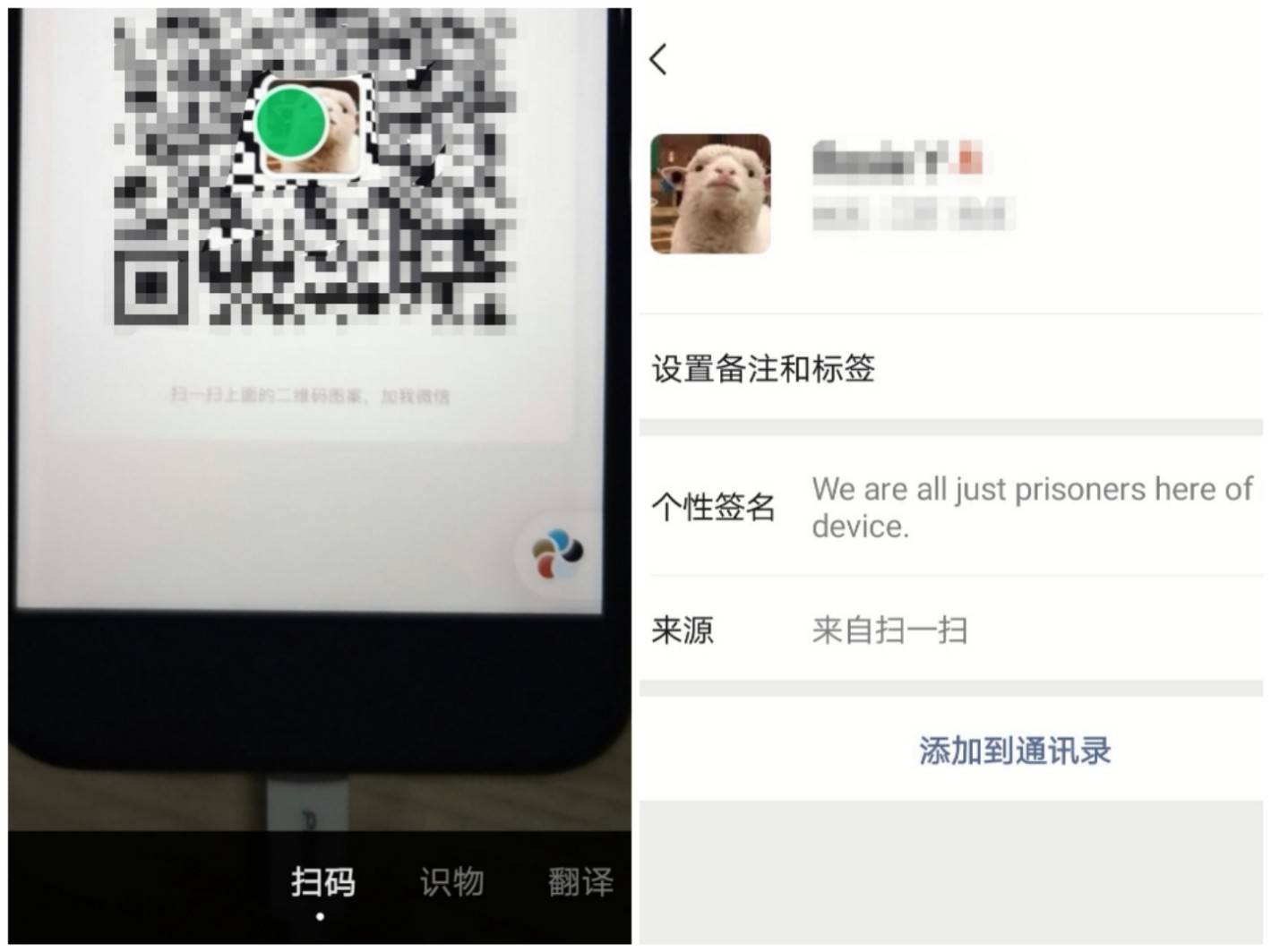 经验教程|假如大学时光可以重来，你会弥补哪些遗憾？