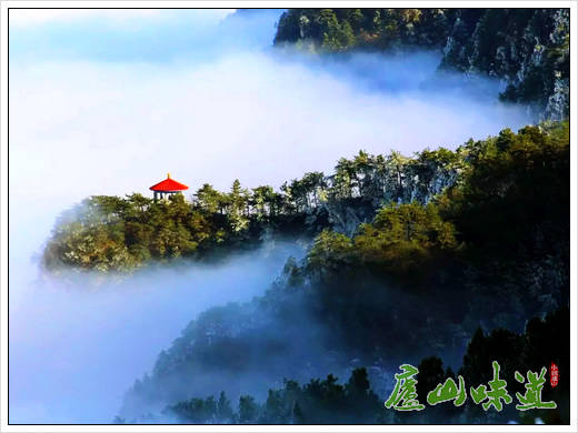 庐山天下悠:庐山四季的美景吸引来过庐山旅游的游客年年眷顾