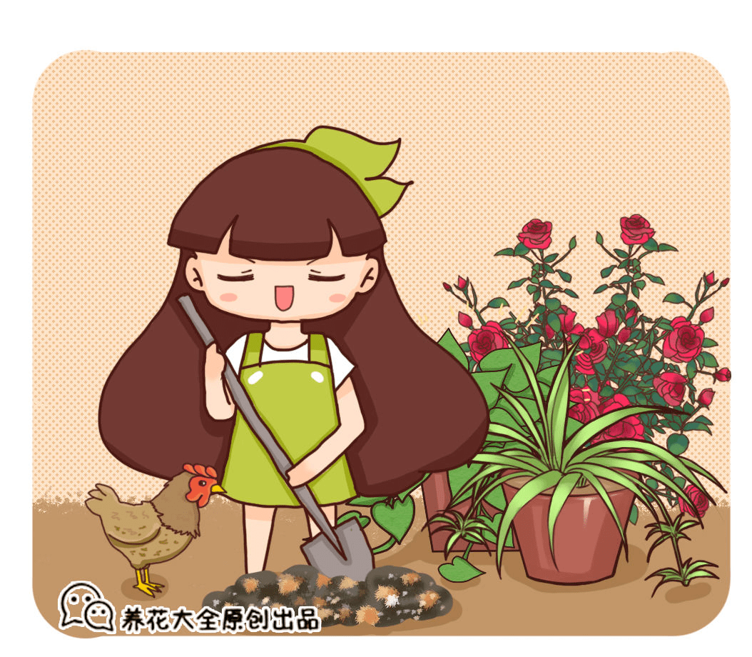 1fe915f3059e4a5a86dd8229a98c72ec.png