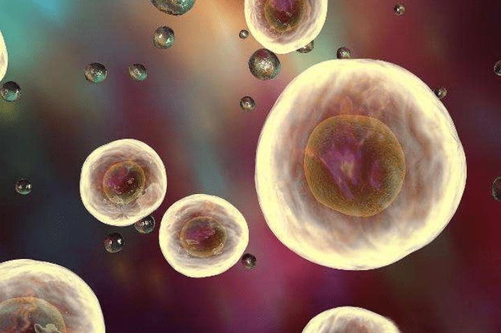 什么是外泌体 53e9702a191a4b0ba2f5ab6aff5e04ea.png