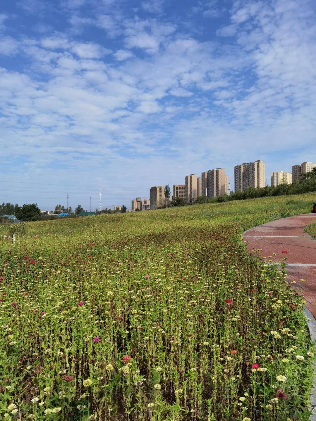 伊犁人口环境_伊犁师范大学宿舍环境(2)