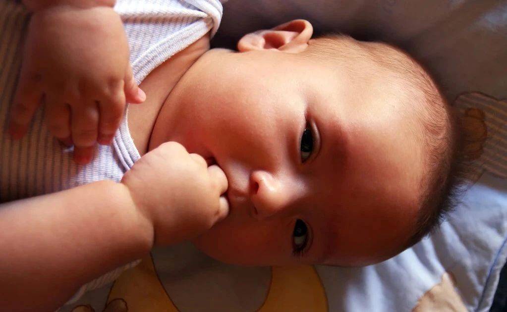 孩子|宝妈们要防止过度喂养！宝宝的觅食反射并不代表饿了