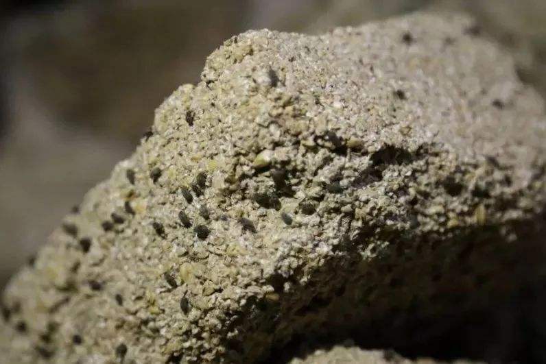 酒曲|酿酒技术传统大曲的功用是什么？