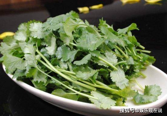什么菜比较难种 078770695be346eabca838df1ad717f9.jpeg