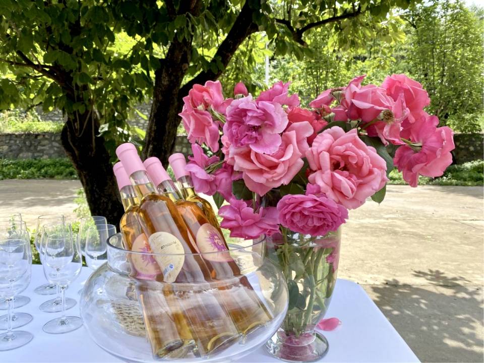 月光|自然、建筑、音乐的交融——多慢桃花坞上演月光乐坛音乐会