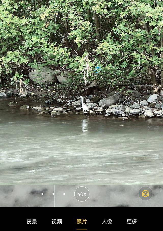 手机|用好您的OPPO Reno系列手机，轻松拍出精彩照片