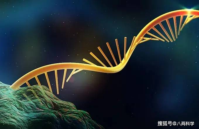 什么是基因断裂 e7f70d0026d14fae9f32dc4fcd76e928.jpeg