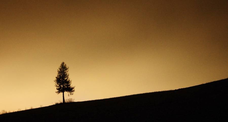家电企业经营失速失控并存，海尔方太海信格力格兰仕TCL再出圈-家电圈官网