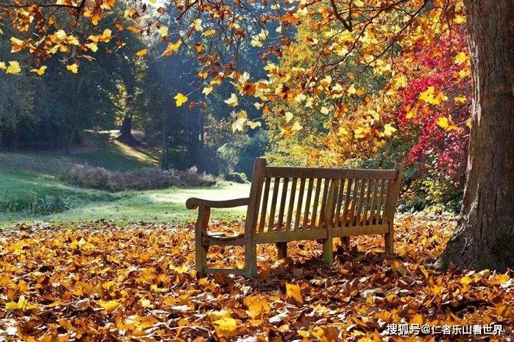 比如一辆破自行车,一把空椅子等,可以很好的表现出秋天的落寞