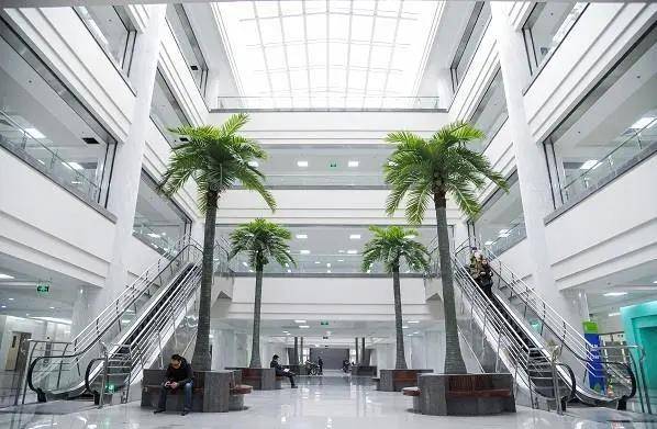 西安交通大学医排名_西安交大附属医院落户泾河新城!未来三年,西安医院