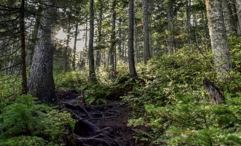 苏宁易购国美零售半年报,从齐头并进到分道扬镳的时代逻辑-家电圈官网