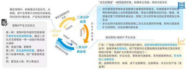 易观报告：云吸宠人群超5千万，2019年社交平台宠物博主超1.5万