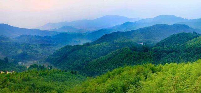 2019无为县gdp_无为县地图(2)