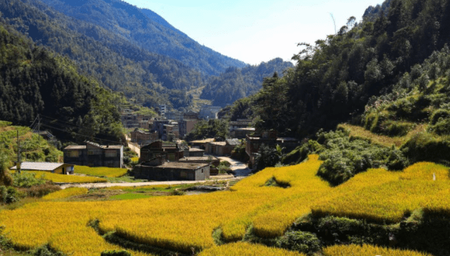 钦州GDP2020_2020年钦州图片(3)