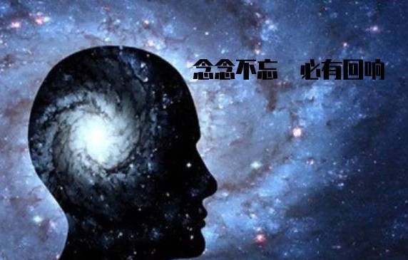 049790e9d56c4b03a653503952c26001.jpeg