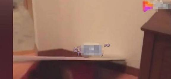 2dfd72e920c748768f77e3ae1ca8d2bc.jpeg