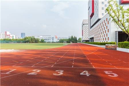 院校|2020年这4所财经类大学在河北文科的录取位次显著上升！