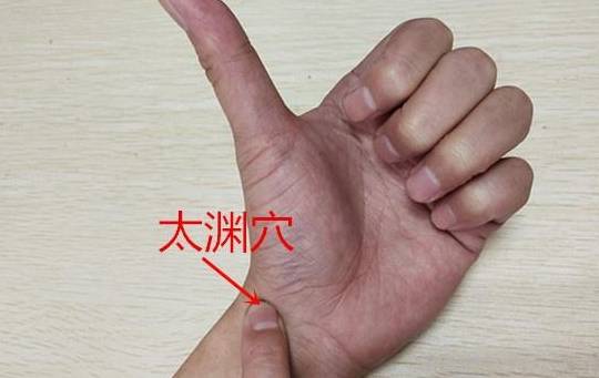 如何补肺气的穴位 5f4d75905f34410b921b70065b9e763e.jpeg